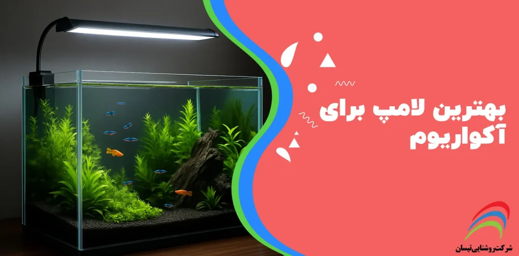 بهترین لامپ برای آکواریوم