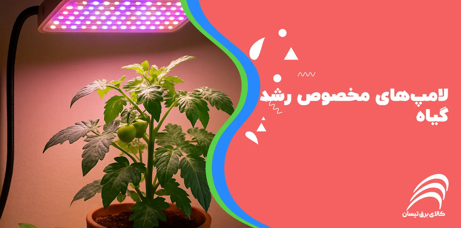 لامپ‌های مخصوص رشد گیاه
